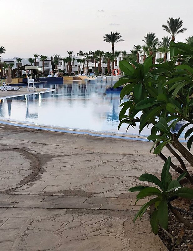 Где-то там... - Роман Савоцкий