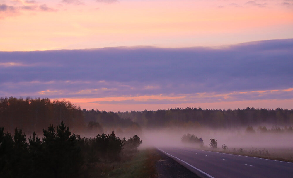 Туманное утро - Галина Ильясова Туманное утро - Галина Ильясова