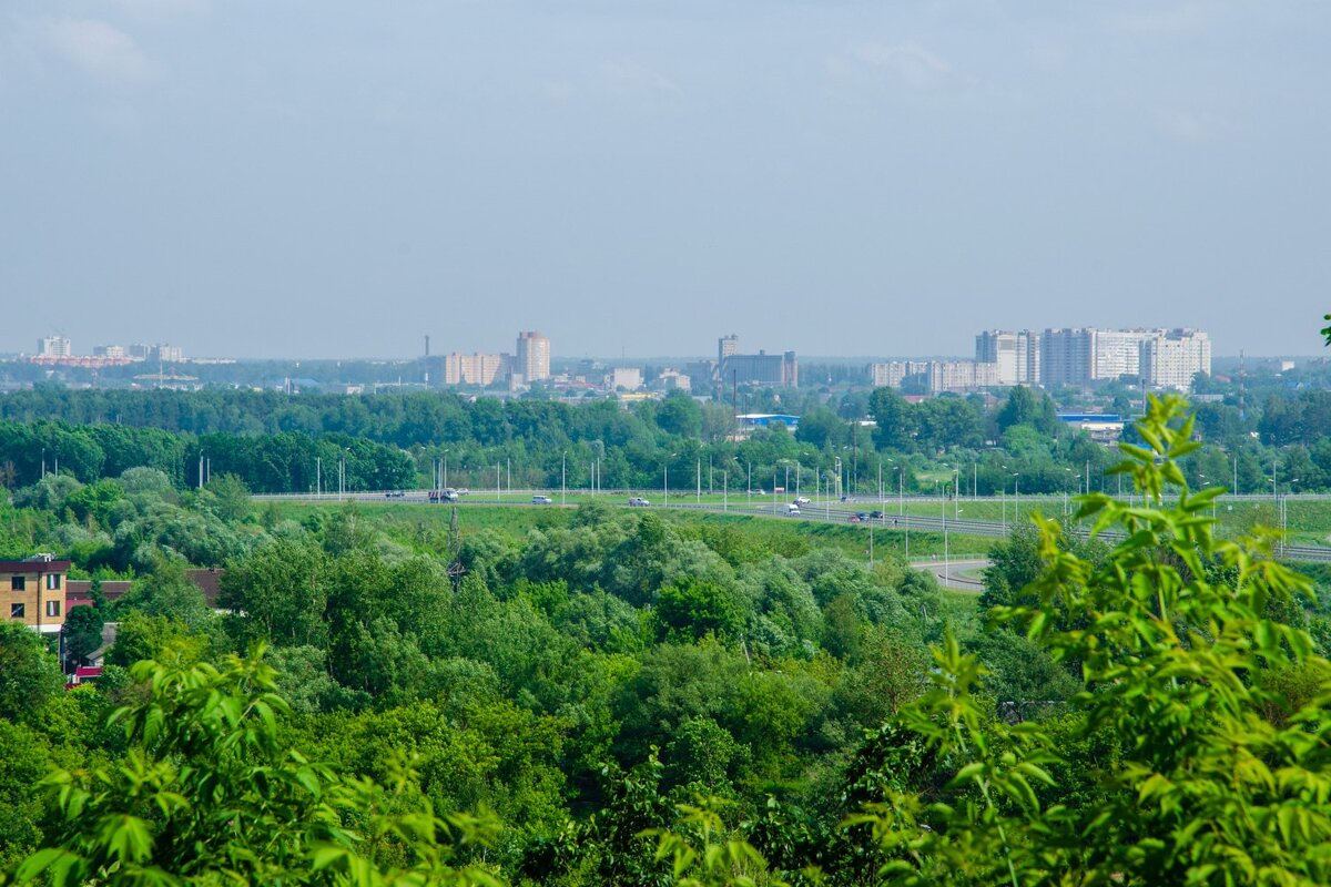 Брянск - Галина Ложечникова