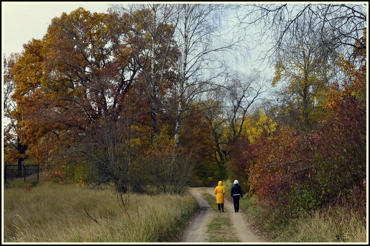 Осенний променад... - Aleksandr Gal