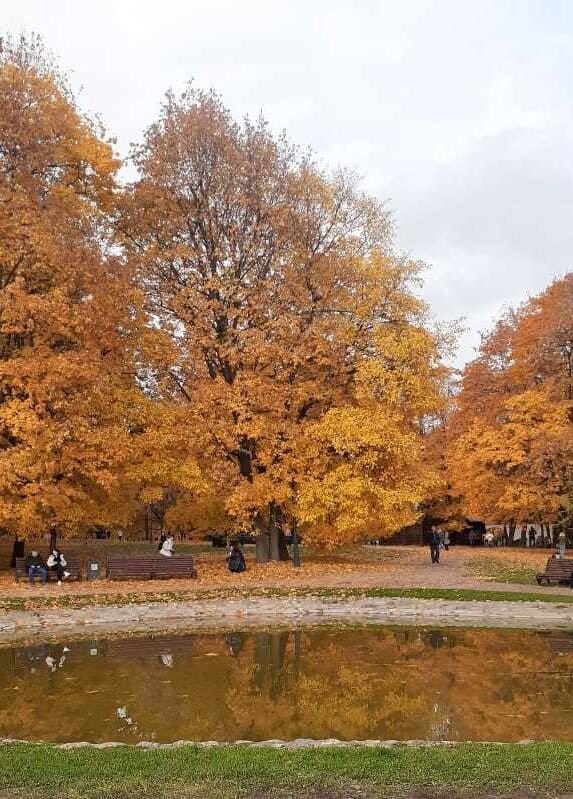 Осень золотая в Коломенском - Елена Семигина