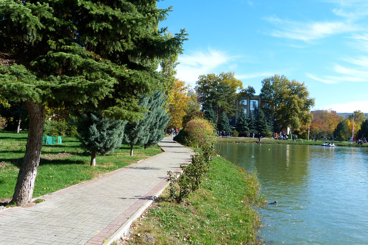 Природа  Гагаринского  парка - Валентин Семчишин