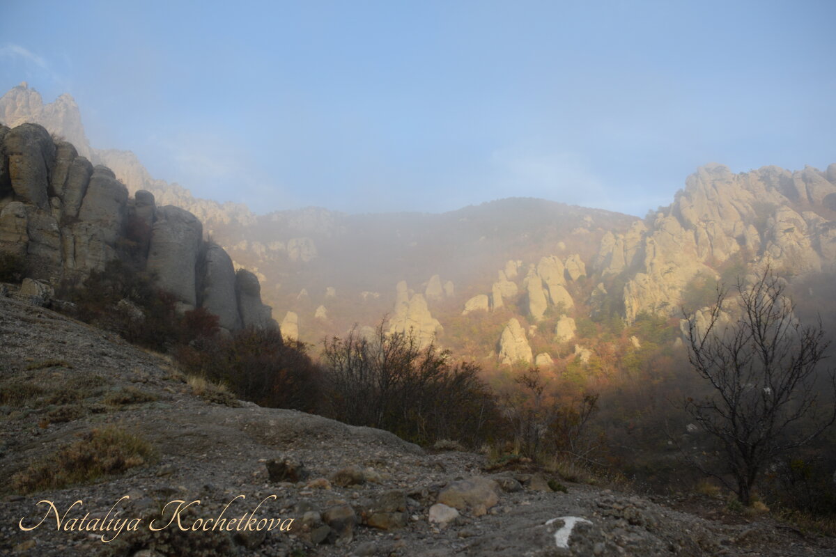 Природа Крыма - Amazing Cosmea