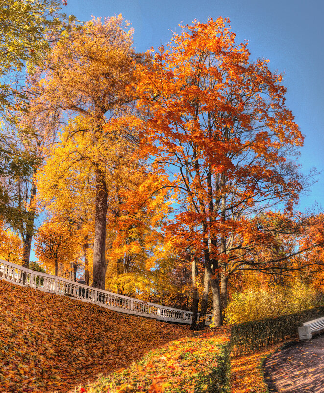 *** - Сергей Григорьев