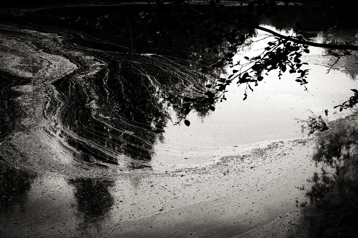 Фотография - Денис Безногов