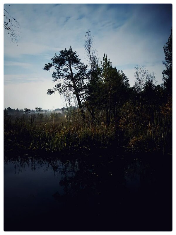 *** - someone somewere