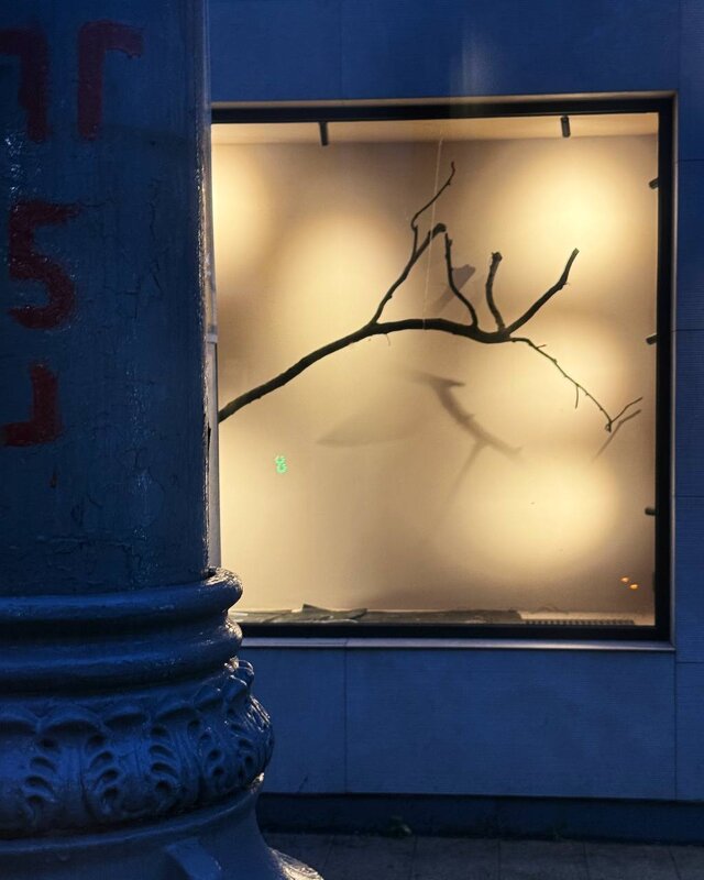 *** - someone somewere