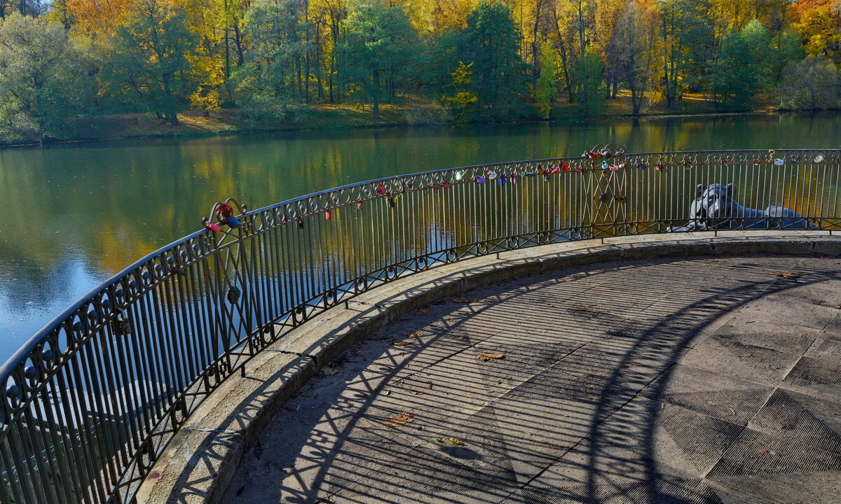 ... - Анастасия Смирнова