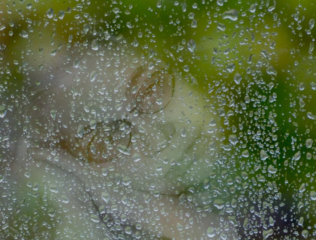 НЕПОГОДА... - Elvira E. 