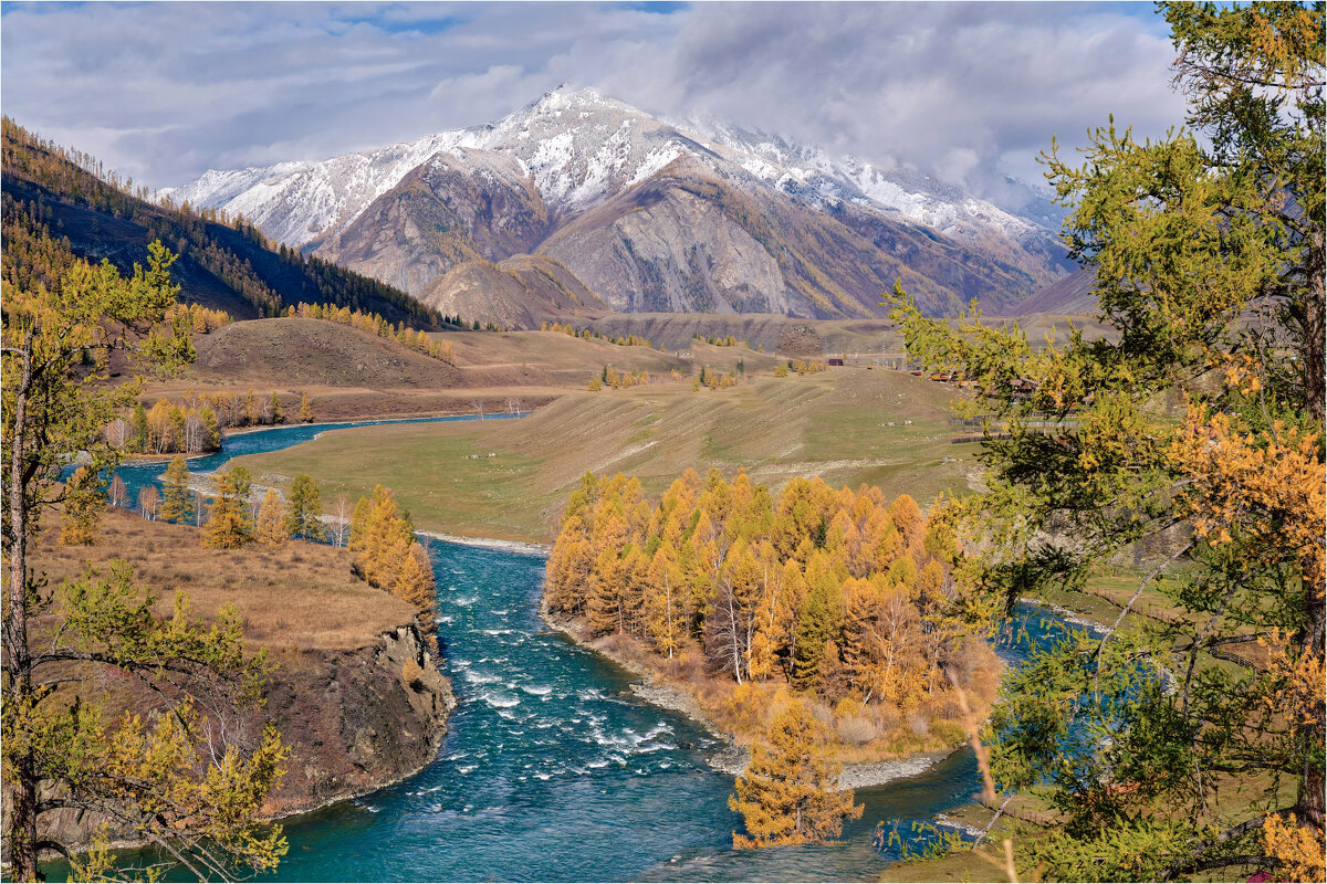***** - Алексей Мезенцев
