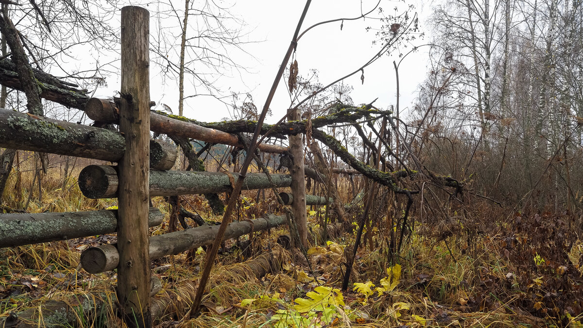 Околица - юрий поляков