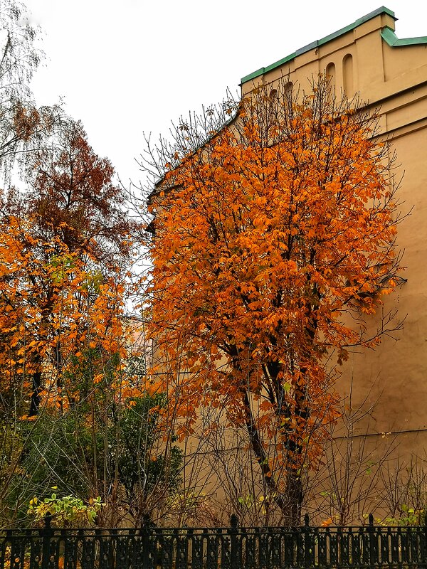 Осень в Трехпрудном переулке - Любимова Ольга 