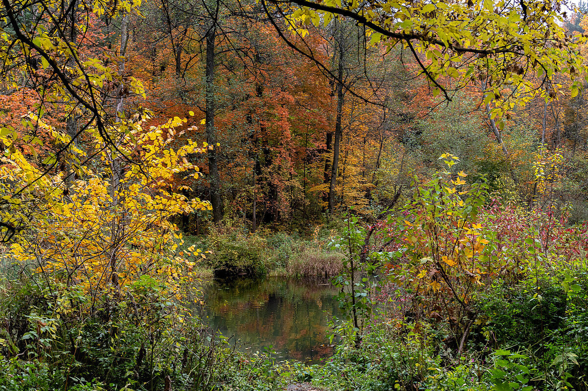 Октябрь - Александр Орлов