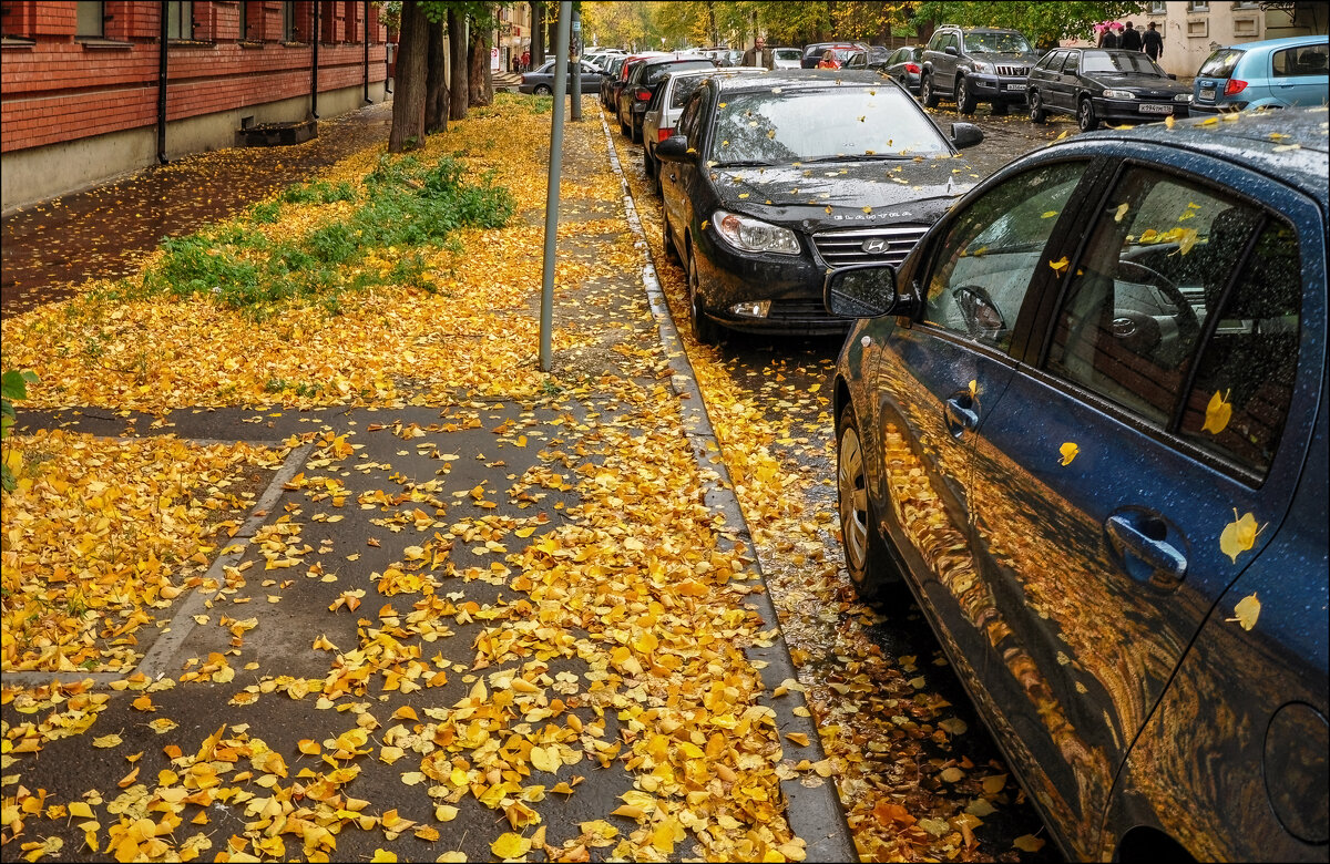 Осень - **** vedin Осень - **** vedin