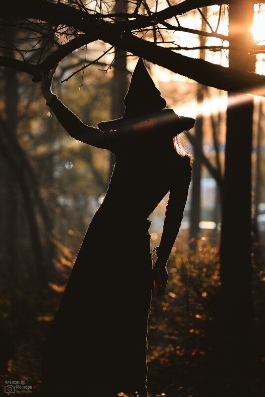 Ведьма - Александр Морозов