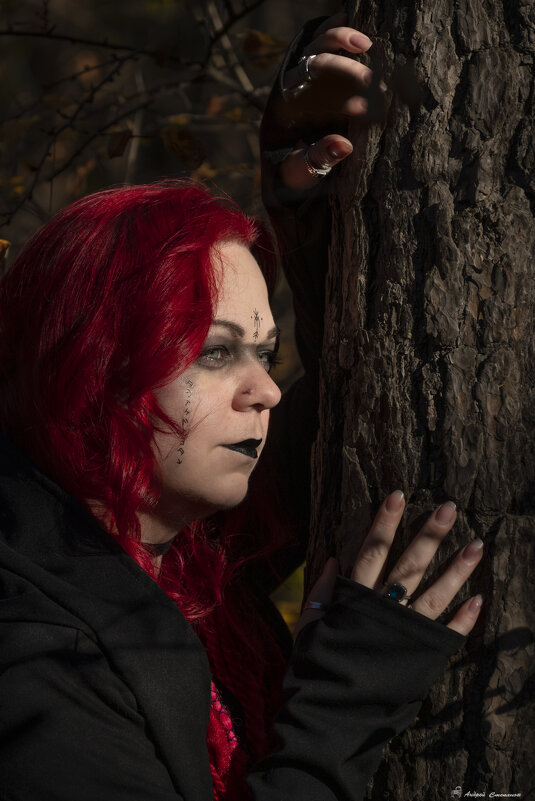 Время ведьм. - Андрей + Ирина Степановы