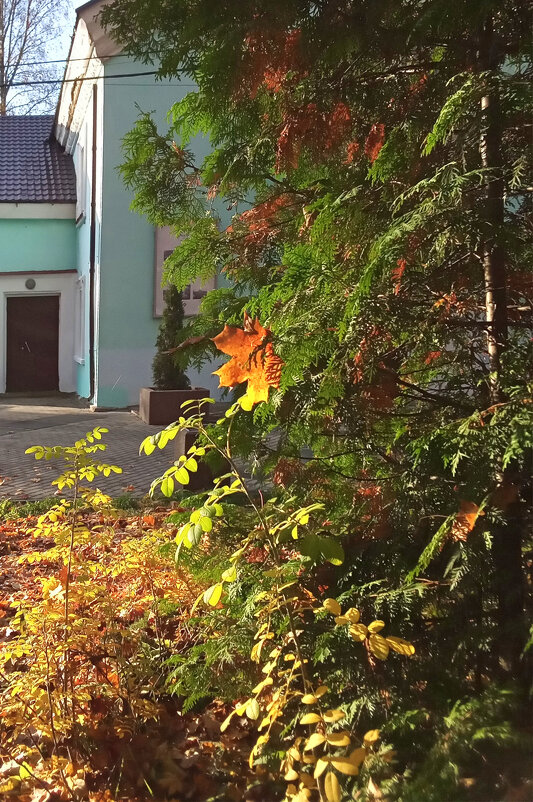 Красота осени - Фотогруппа Весна Красота осени - Фотогруппа Весна