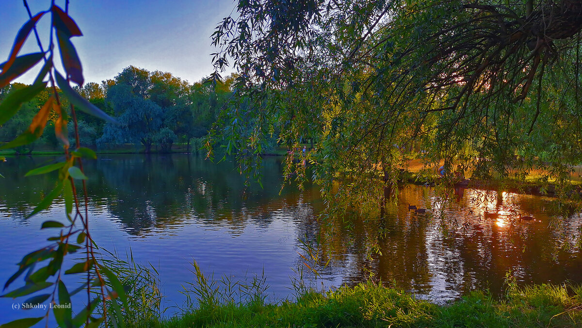 Ботанический Сад АН Молдовы. - Леонид Школьный Ботанический Сад АН Молдовы. - Леонид Школьный