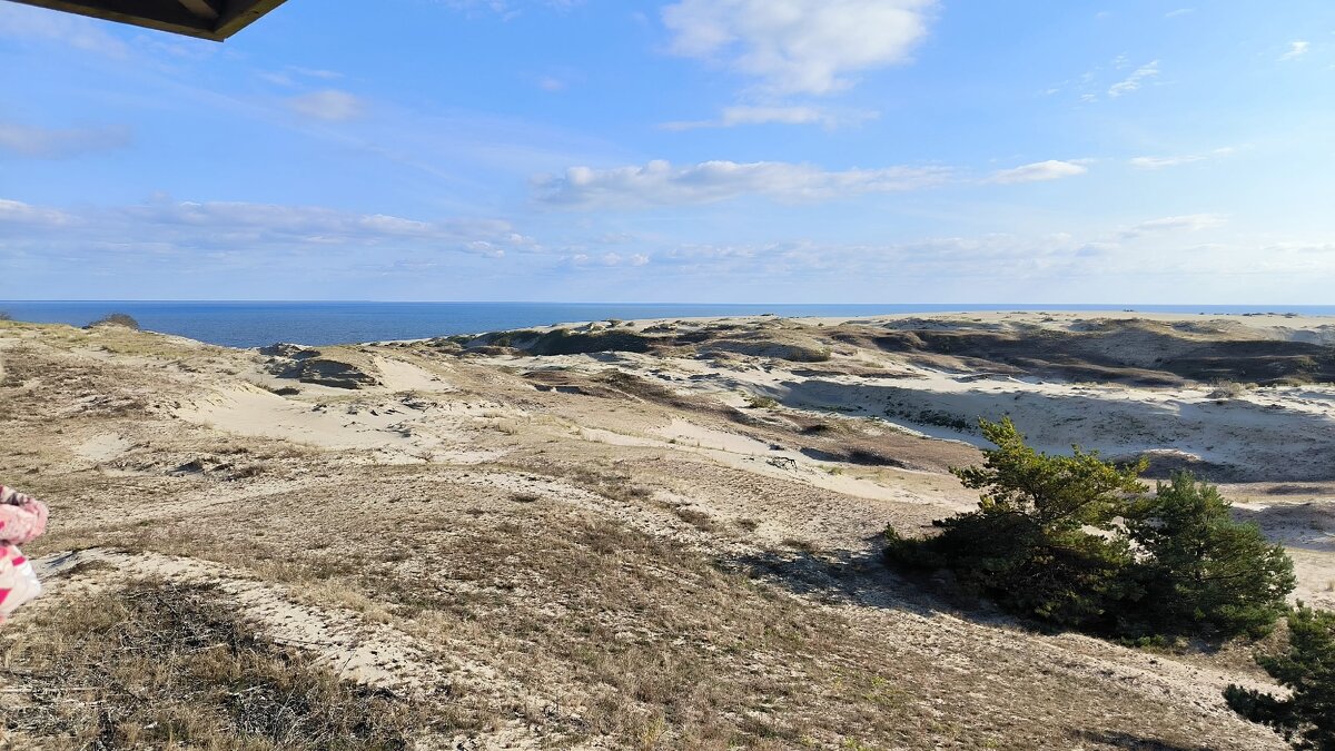 Куршская коса. - Ольга 