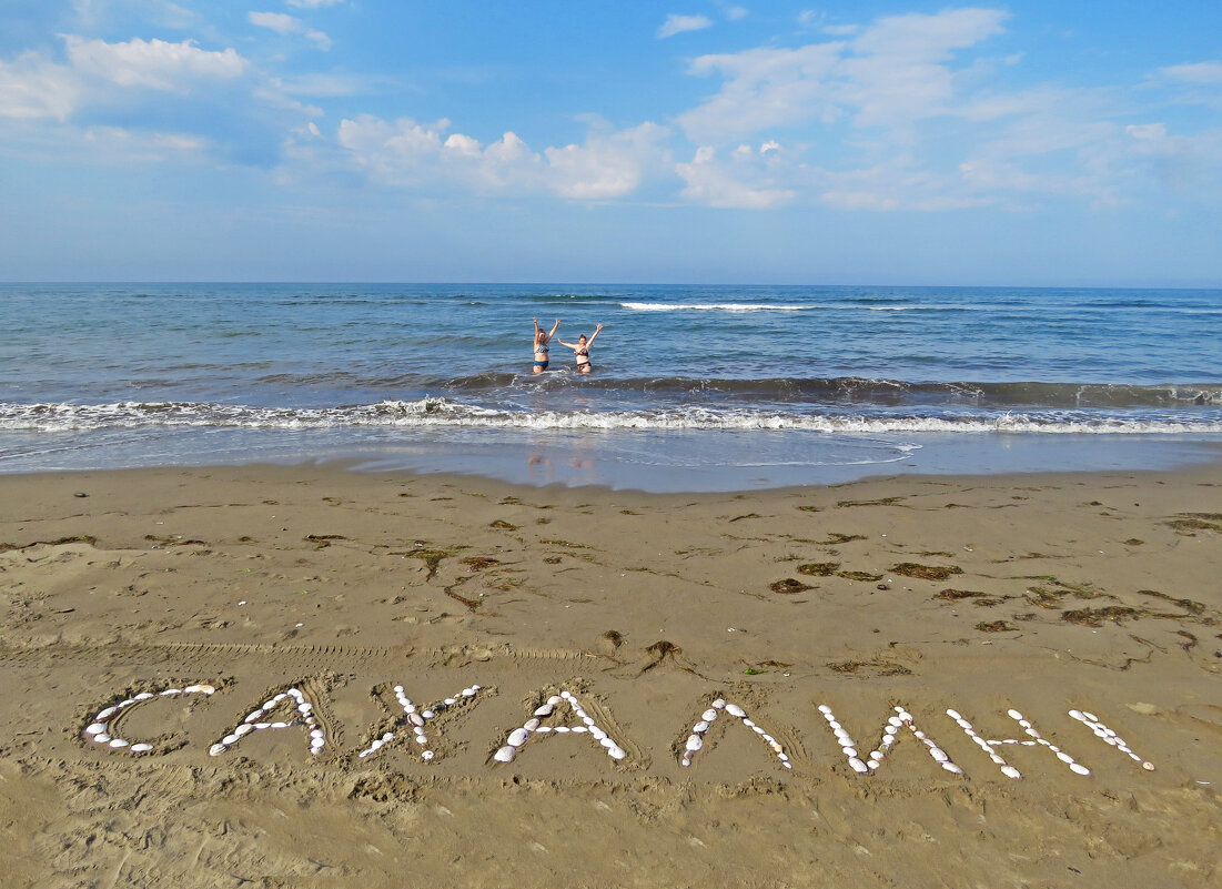 Солнечный Сахалин - ИРЭН@ .