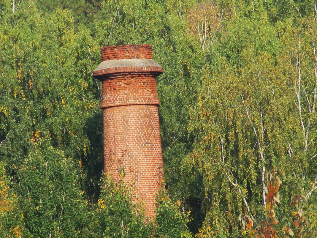 старый завод - Елена Шаламова