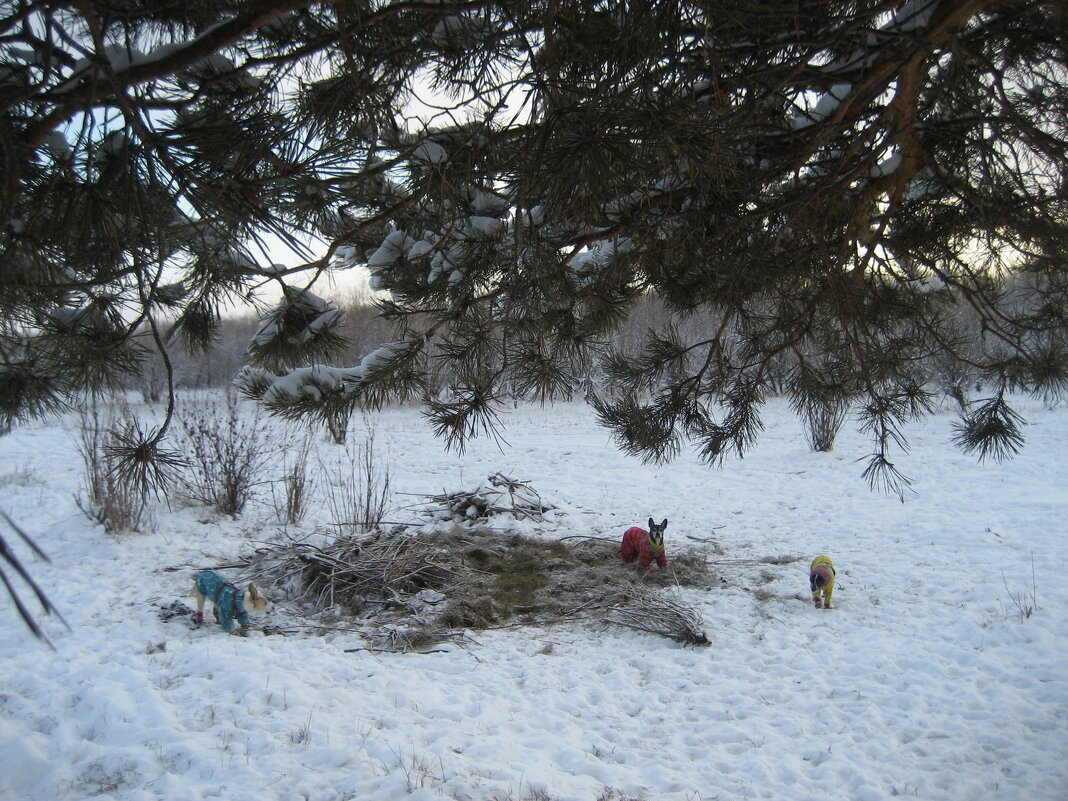 Прогулки по островам - Anna Ivanova Прогулки по островам - Anna Ivanova