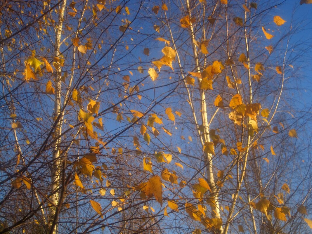 Улетаем... - Елена Семигина