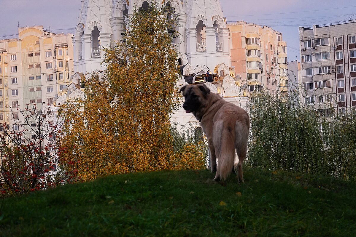 Повернулся, но с места не тронулся. - Татьяна Помогалова Повернулся, но с места не тронулся. - Татьяна Помогалова