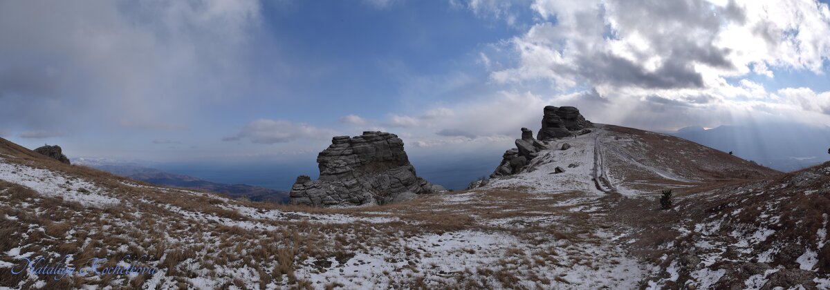 Природа Крыма - Amazing Cosmea Природа Крыма - Amazing Cosmea