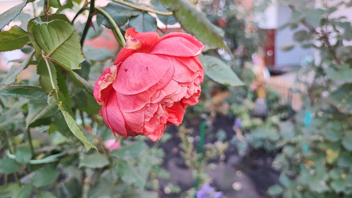 ,,, - Сергей Тимоновский ,,, - Сергей Тимоновский