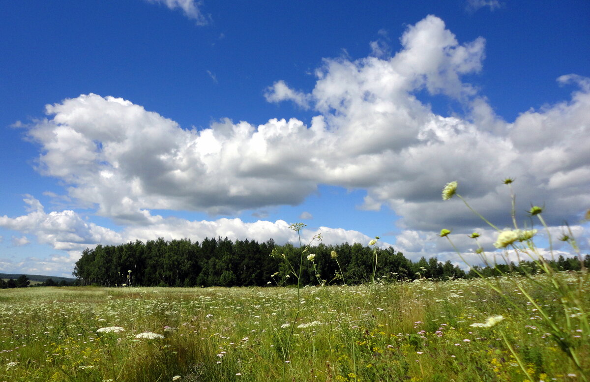 Ещё недавно было лето. - nadyasilyuk Вознюк