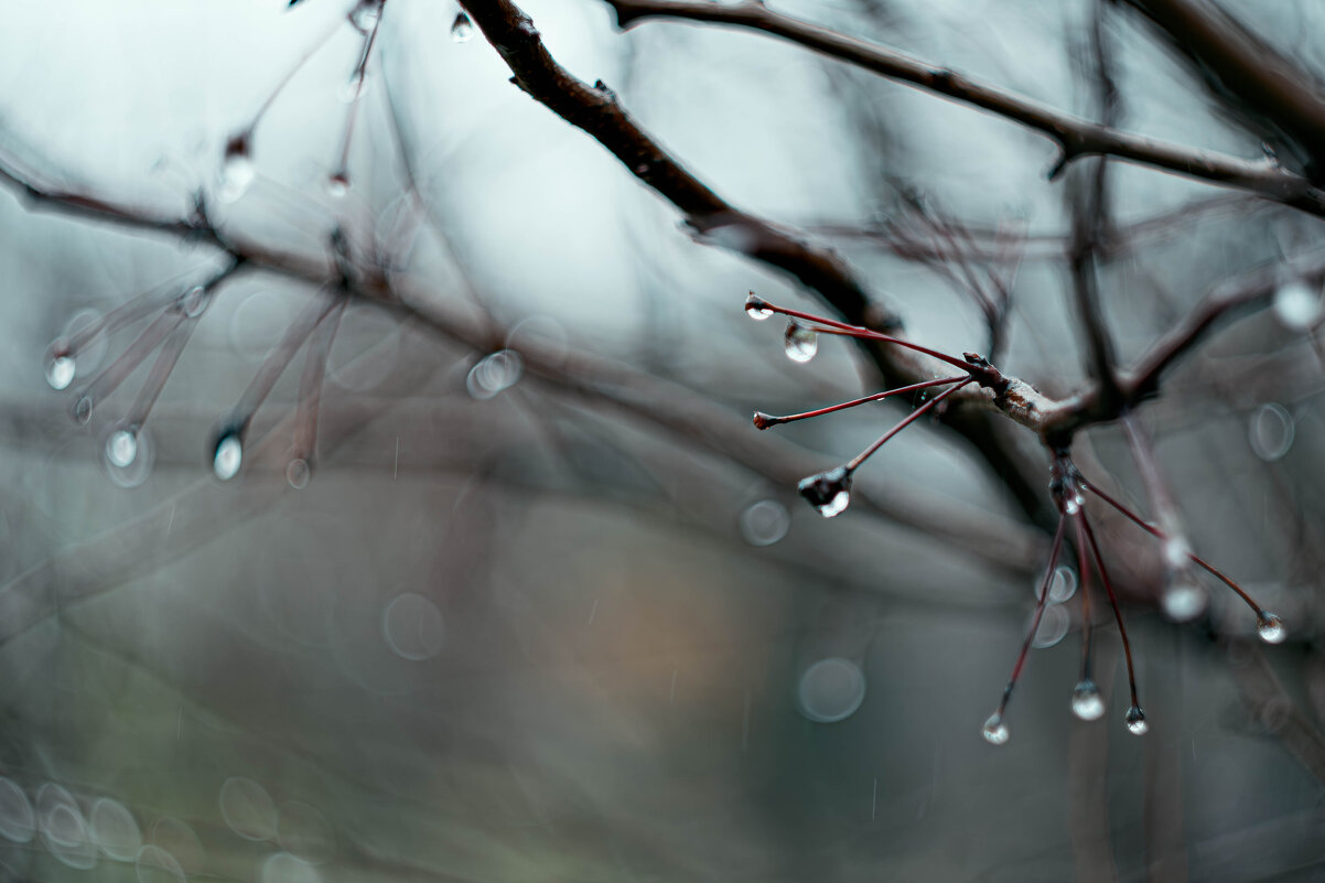 Свет в капле - yuriim ㅤ