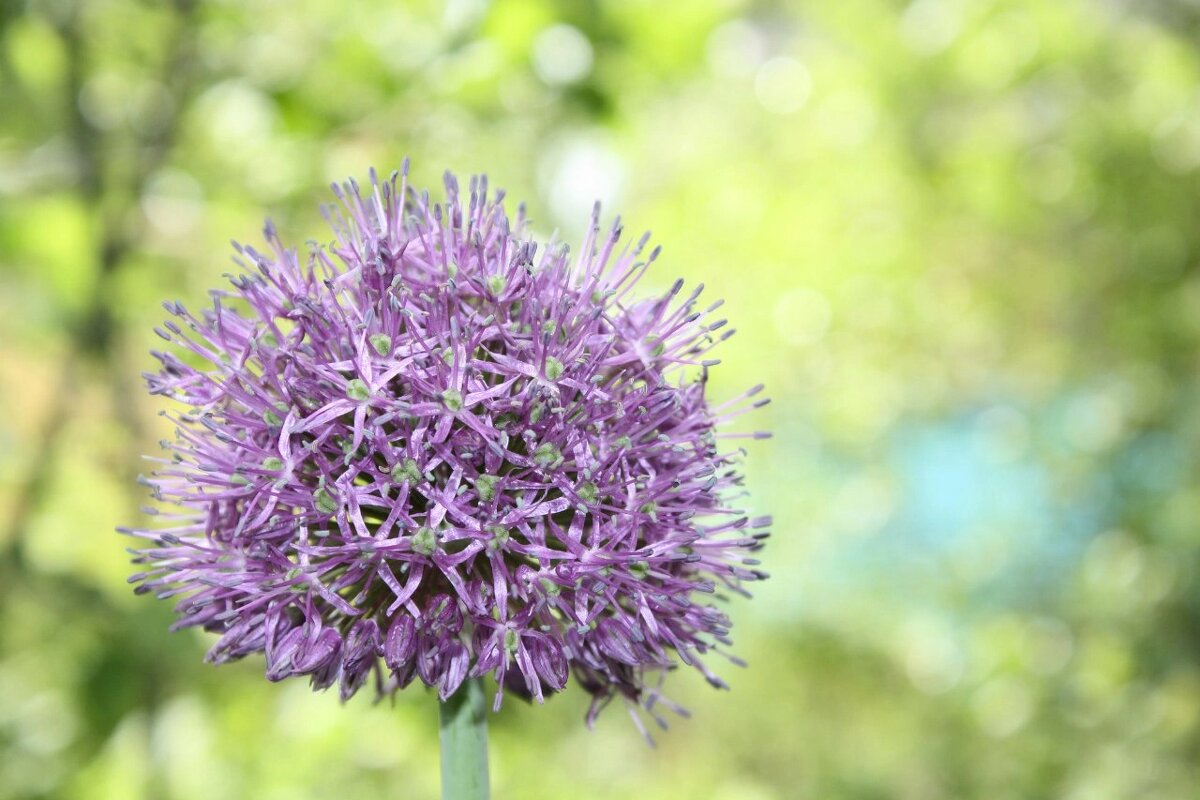 Красивый look - Ольга Савельева 