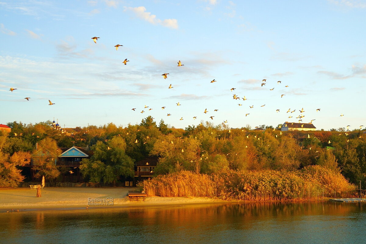 Летят утки - Сергей Беляев