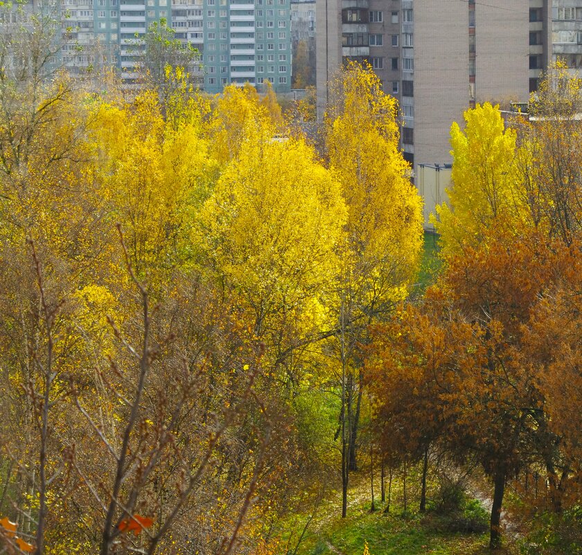 Луч солнца прорывался через облака... - Юрий Куликов Луч солнца прорывался через облака... - Юрий Куликов