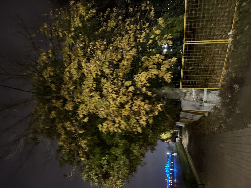 Каштановая Аллея на набережной. - Olga Oskolkova