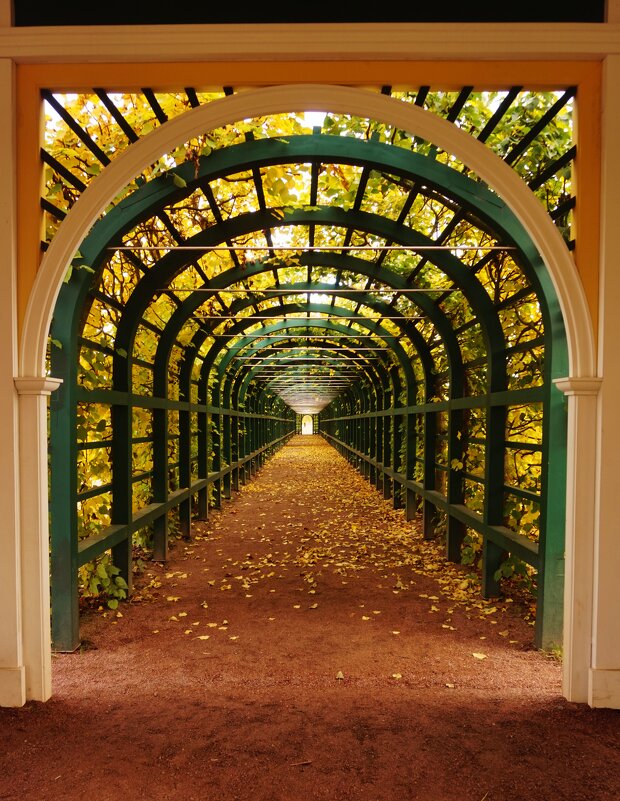 Петергоф - Nataly St. 