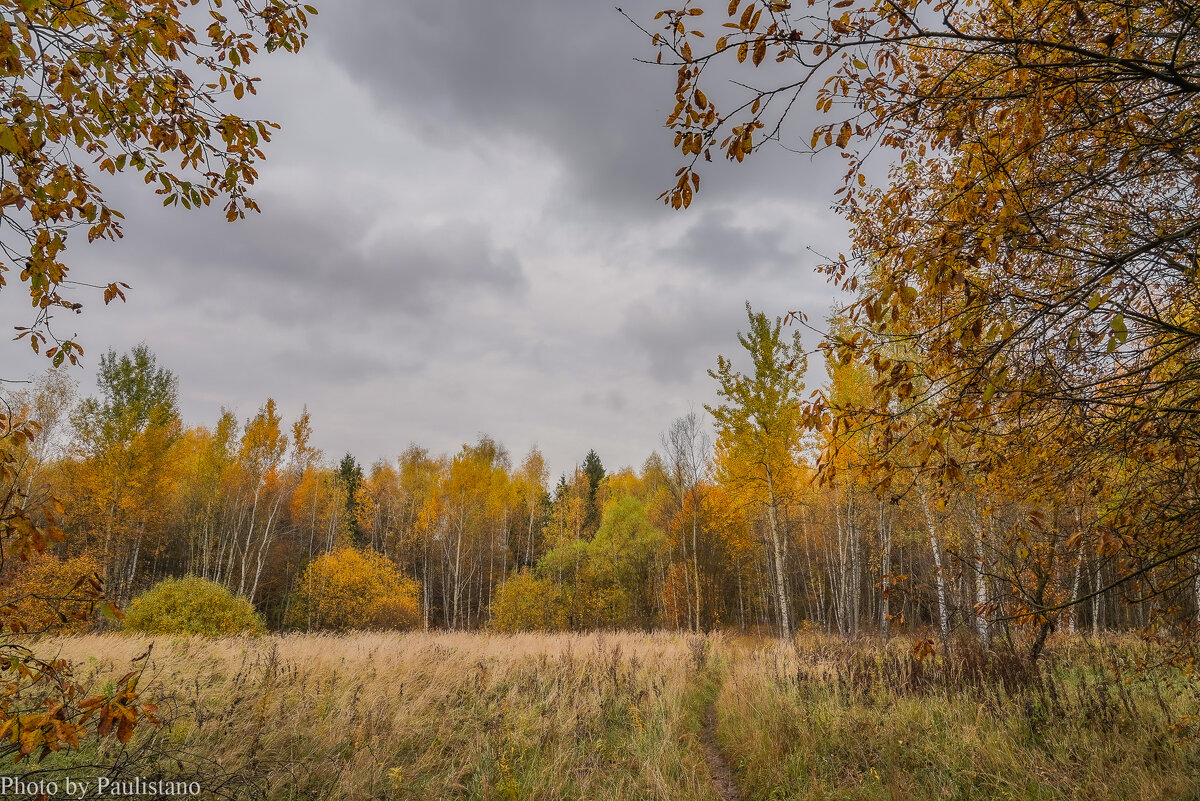 На опушке... - Владимир Жданов