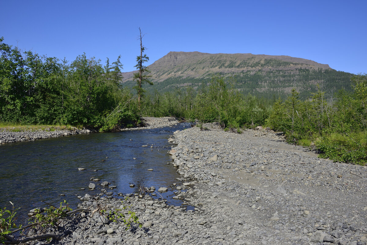*** - Александр Хаецкий