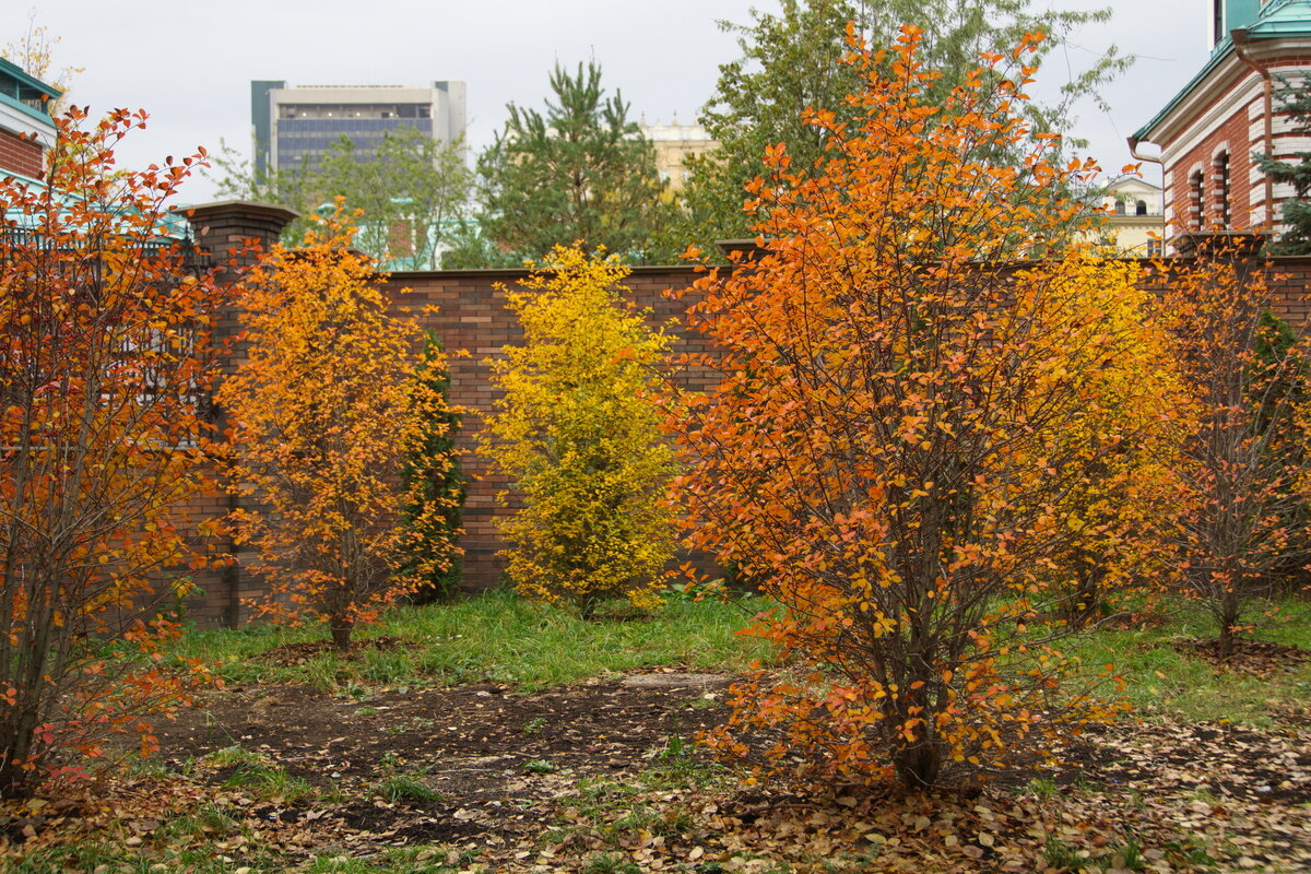 Осень в Москве - marmorozov Морозова
