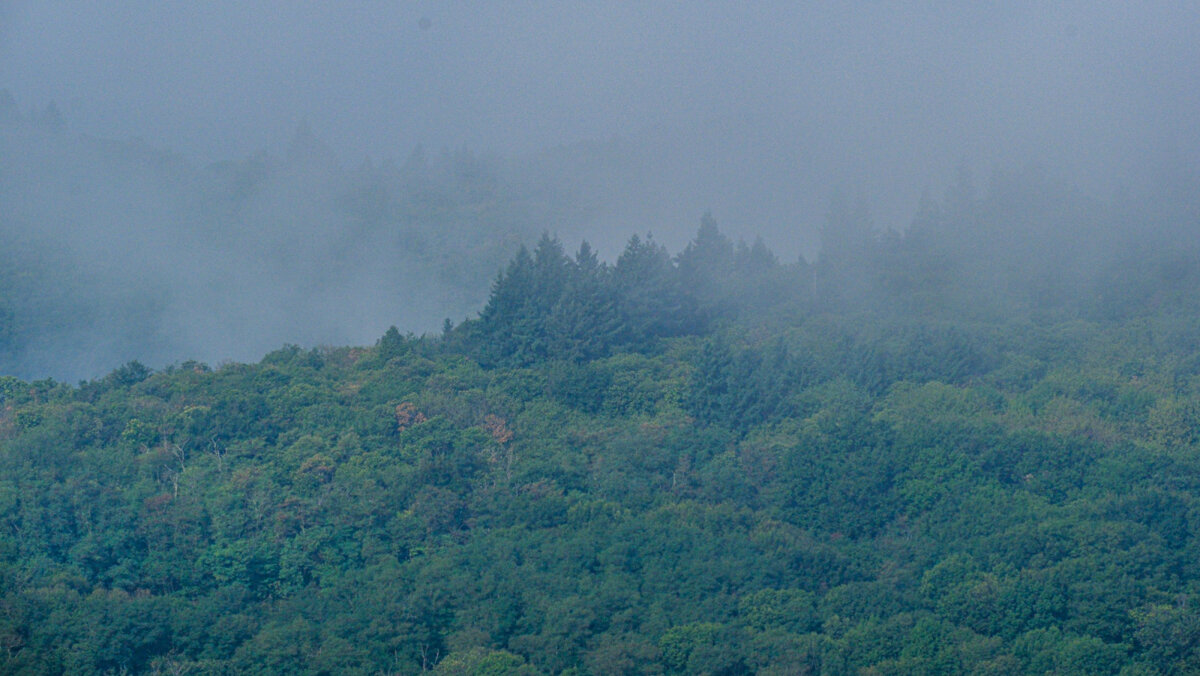 Туманные вершины - Георгий А