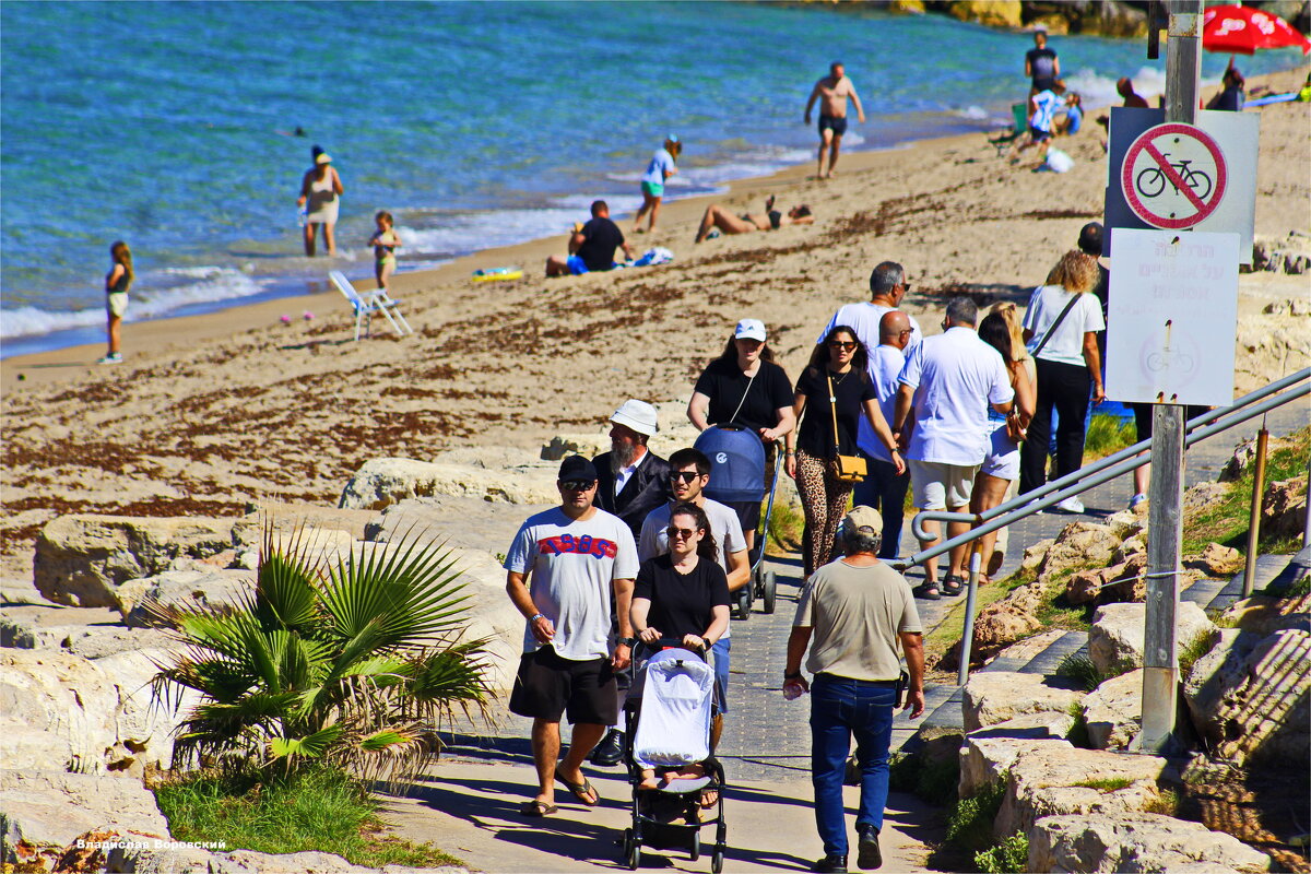 События / Репортаж - Владислав Воровский 