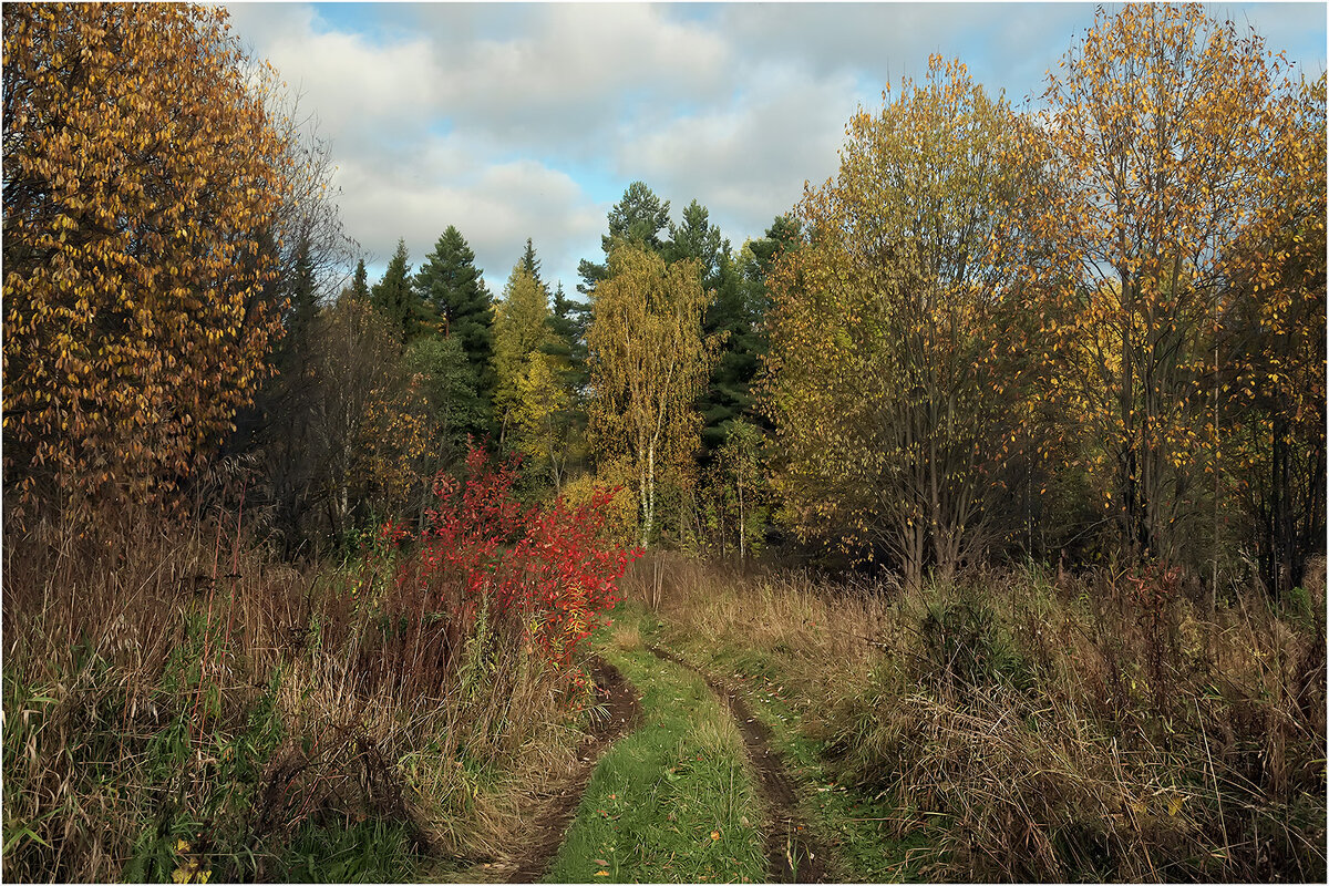 Осенний этюд - Валентин Котляров