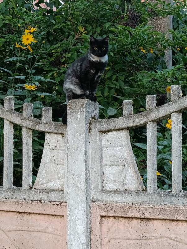 Спрятался на виду у всех - Людмила Жданова