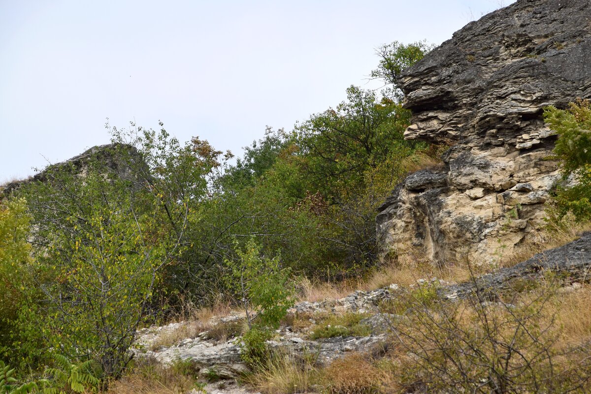 Пятигорск. "Чертовы ворота" на горе Горячая 3 - Павленко Михаил 