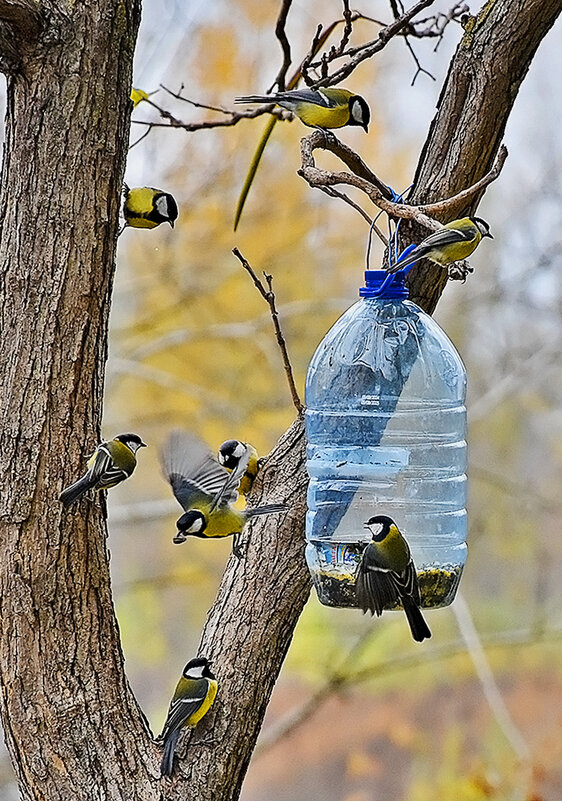 Весёлая семейка! - Валентина  Нефёдова 