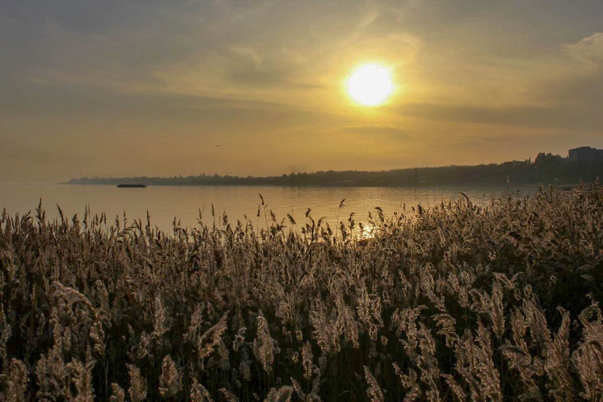 Закат - Оксана Новик 