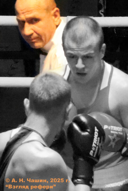 Взгляд рефери - Александр Чашин