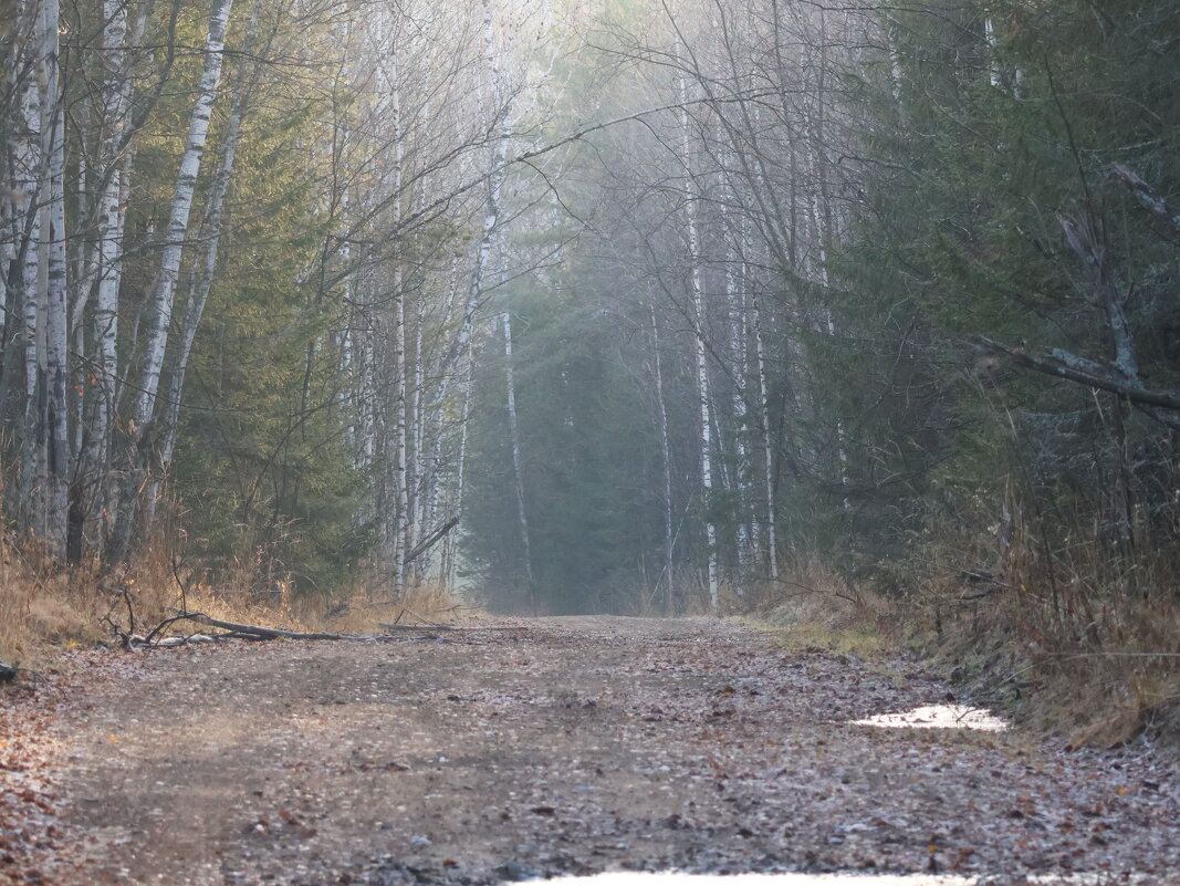 Осень в Лесу - Иван Ермен