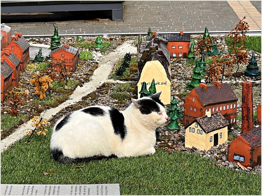 Кот у макета. - Валерия Комова Кот у макета. - Валерия Комова